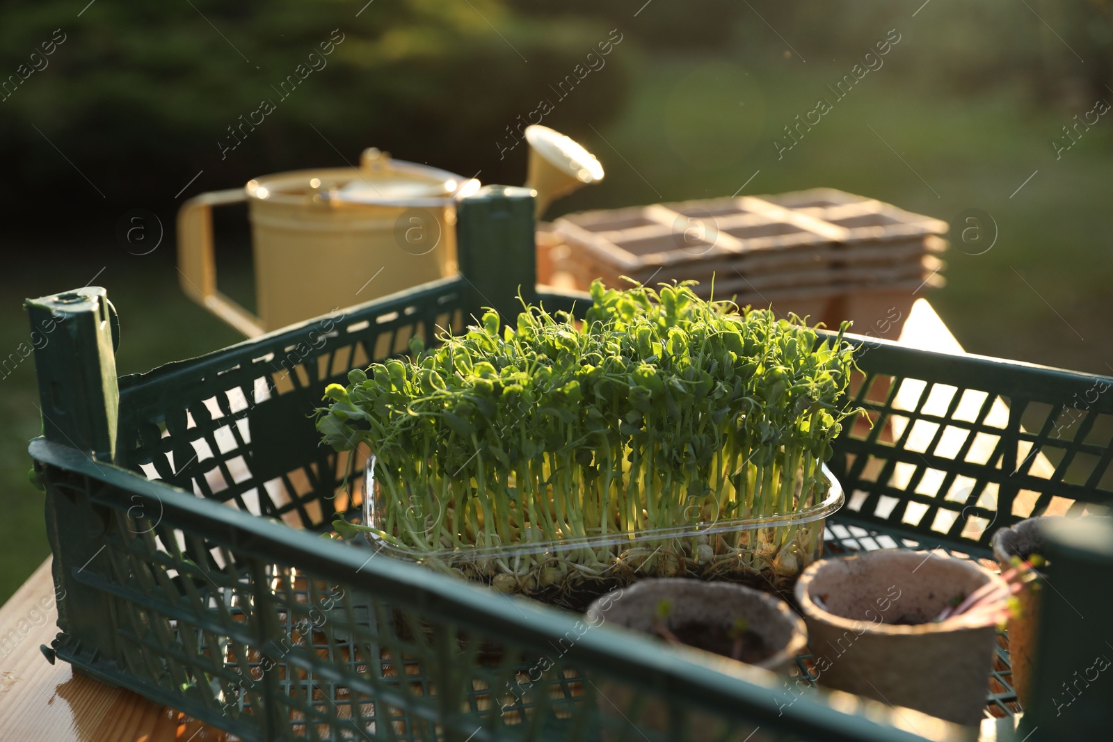 Photo of Different potted seedlings on wooden table outdoors