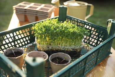 Photo of Different potted seedlings on wooden table outdoors