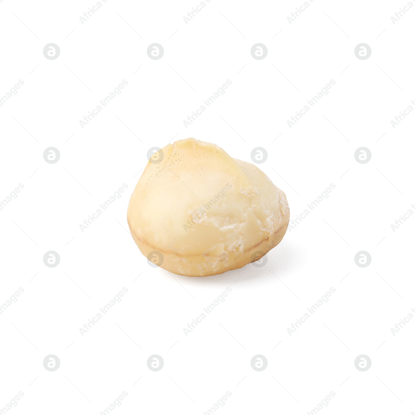 Photo of One peeled macadamia nut isolated on white