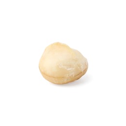 Photo of One peeled macadamia nut isolated on white