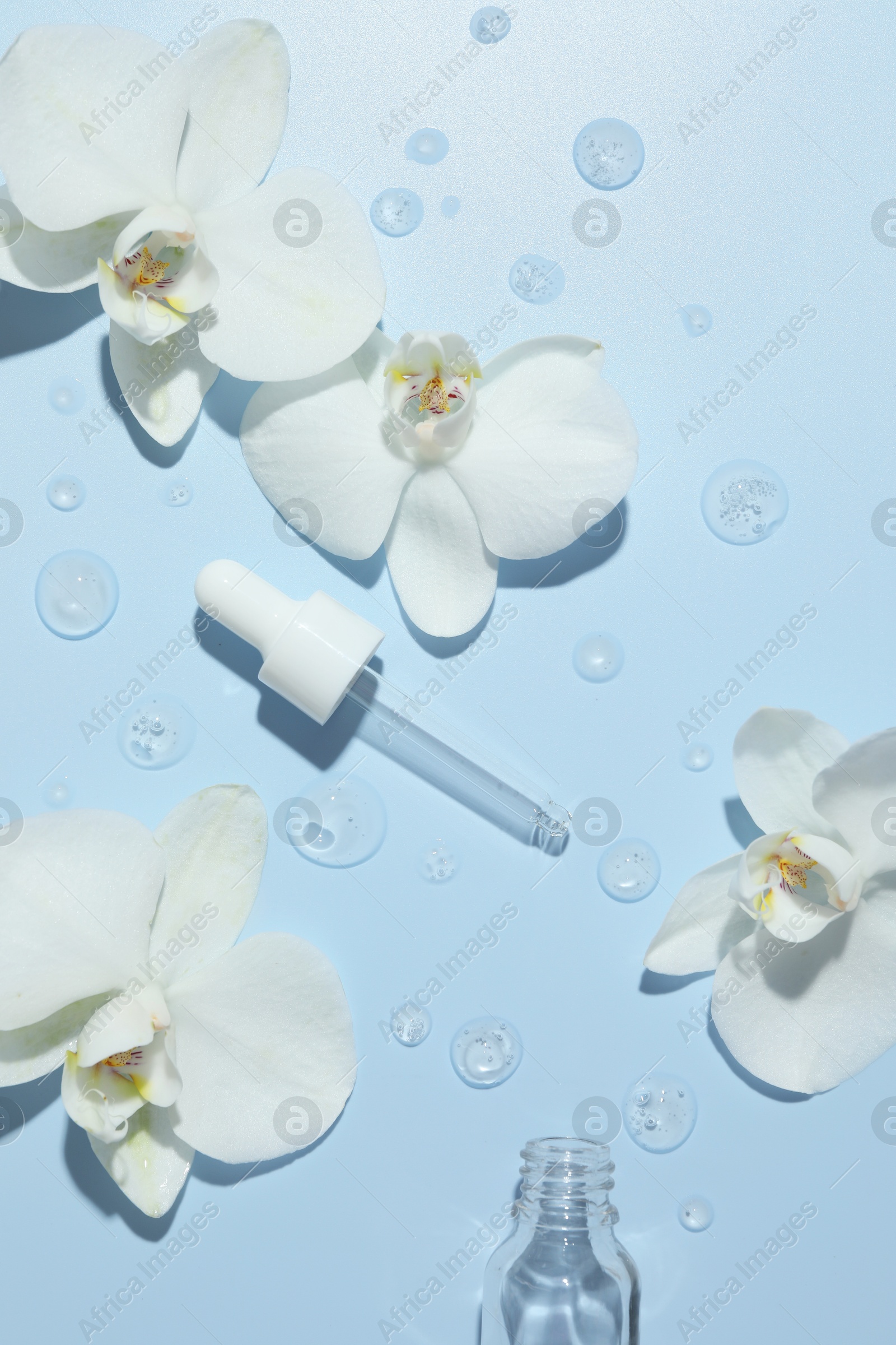 Photo of Beautiful orchid flowers and essential oil in water on light blue background, flat lay