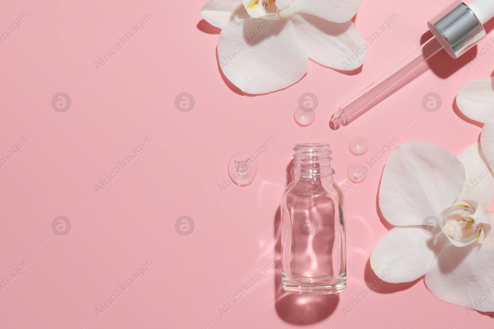 Photo of Beautiful orchid flowers and essential oil in water on pink background, flat lay. Space for text