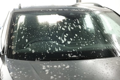 Photo of Auto covered with cleaning foam at car wash, closeup