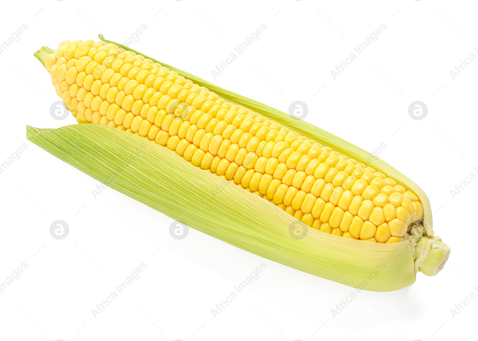 Photo of Corncob with green husks isolated on white