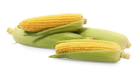 Photo of Corncobs with green husks isolated on white