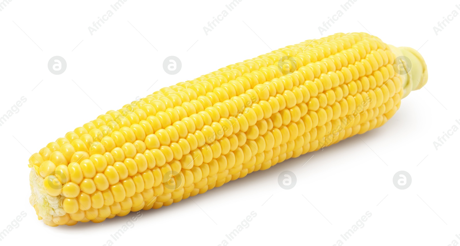 Photo of One fresh ripe corncob isolated on white