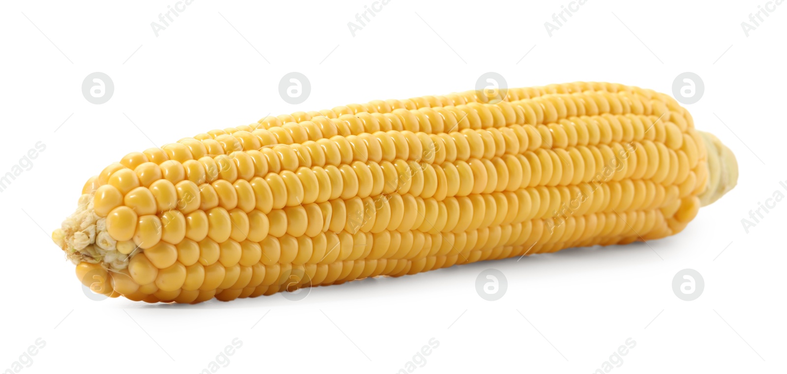 Photo of One fresh ripe corncob isolated on white