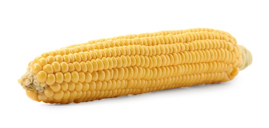 Photo of One fresh ripe corncob isolated on white