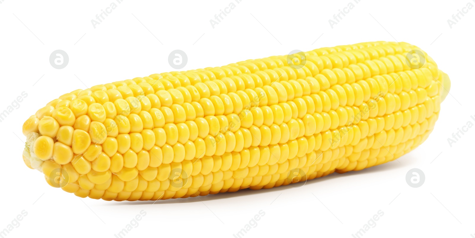 Photo of One fresh ripe corncob isolated on white