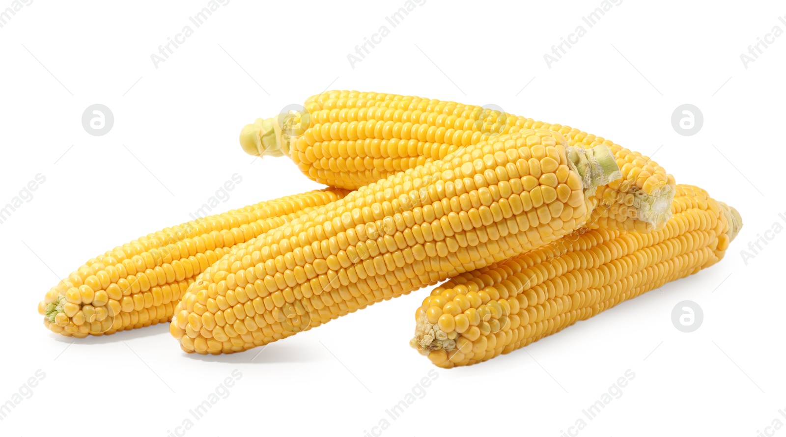 Photo of Many fresh ripe corncobs isolated on white