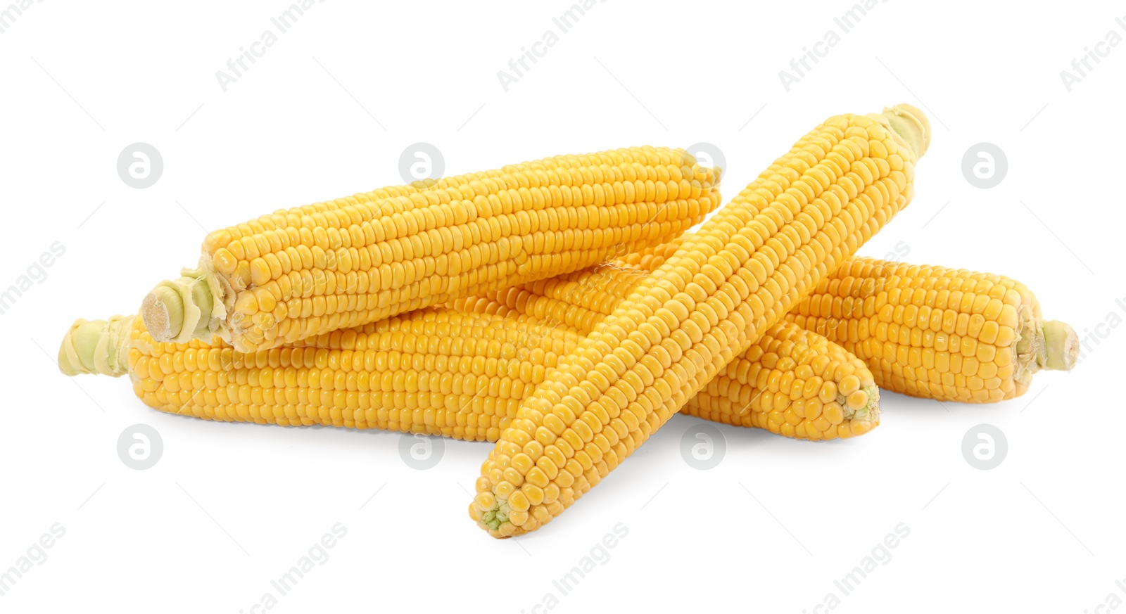 Photo of Many fresh ripe corncobs isolated on white