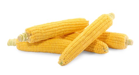 Photo of Many fresh ripe corncobs isolated on white