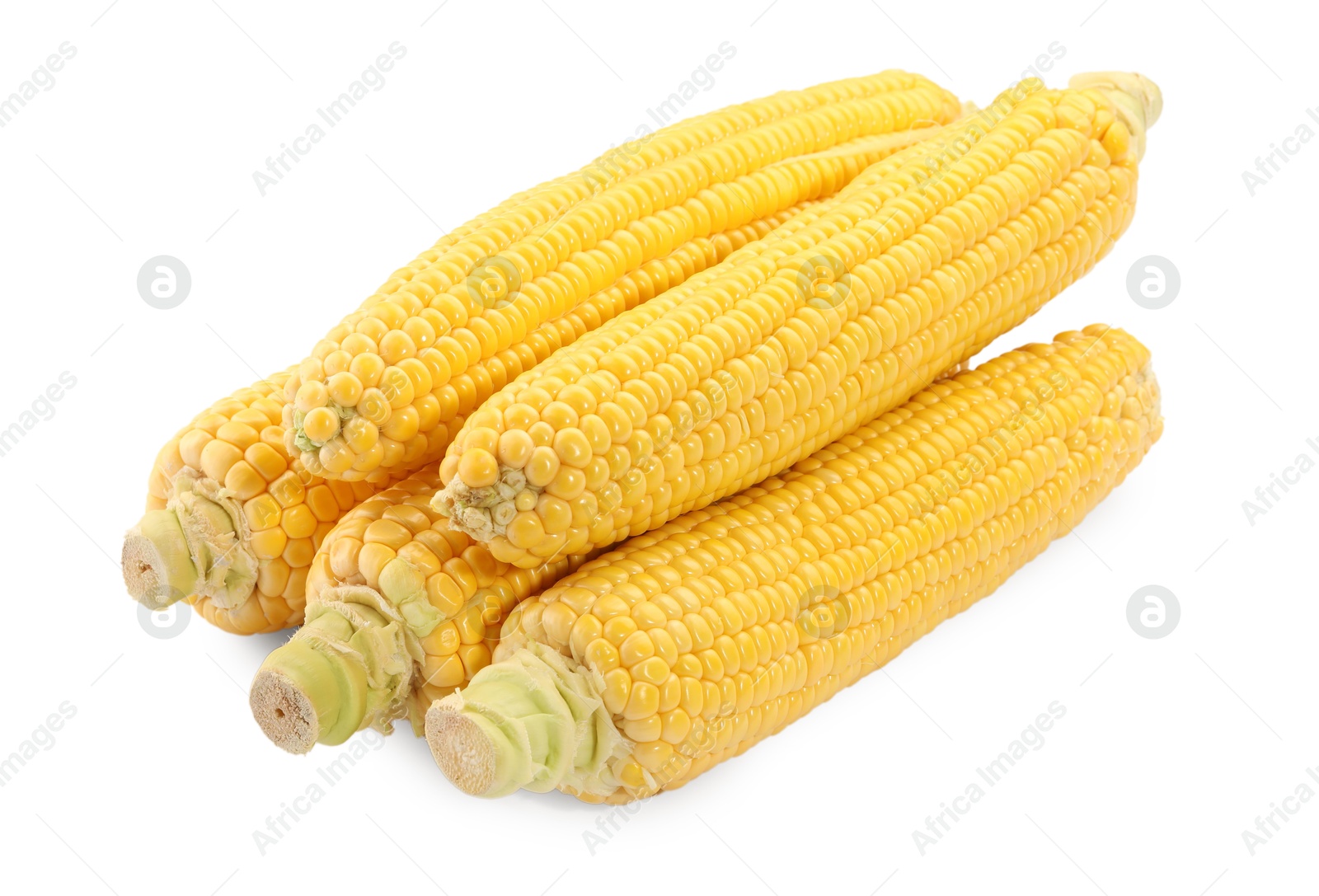 Photo of Many fresh ripe corncobs isolated on white