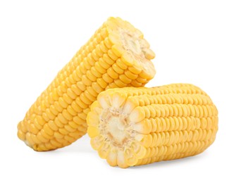 Pieces of fresh corncob isolated on white