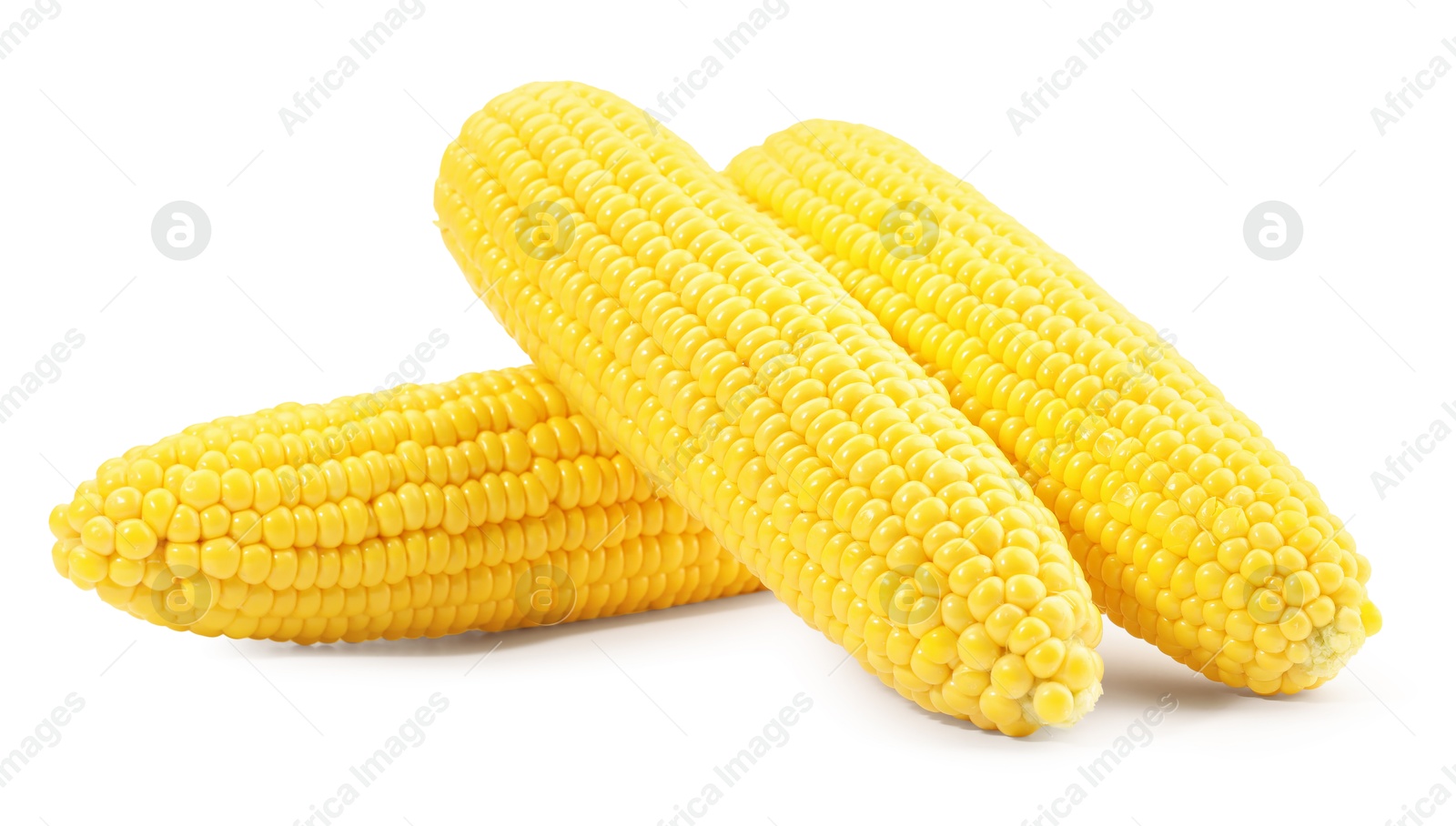 Photo of Many fresh ripe corncobs isolated on white