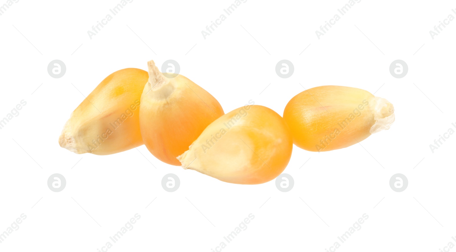 Photo of Fresh ripe corn kernels isolated on white