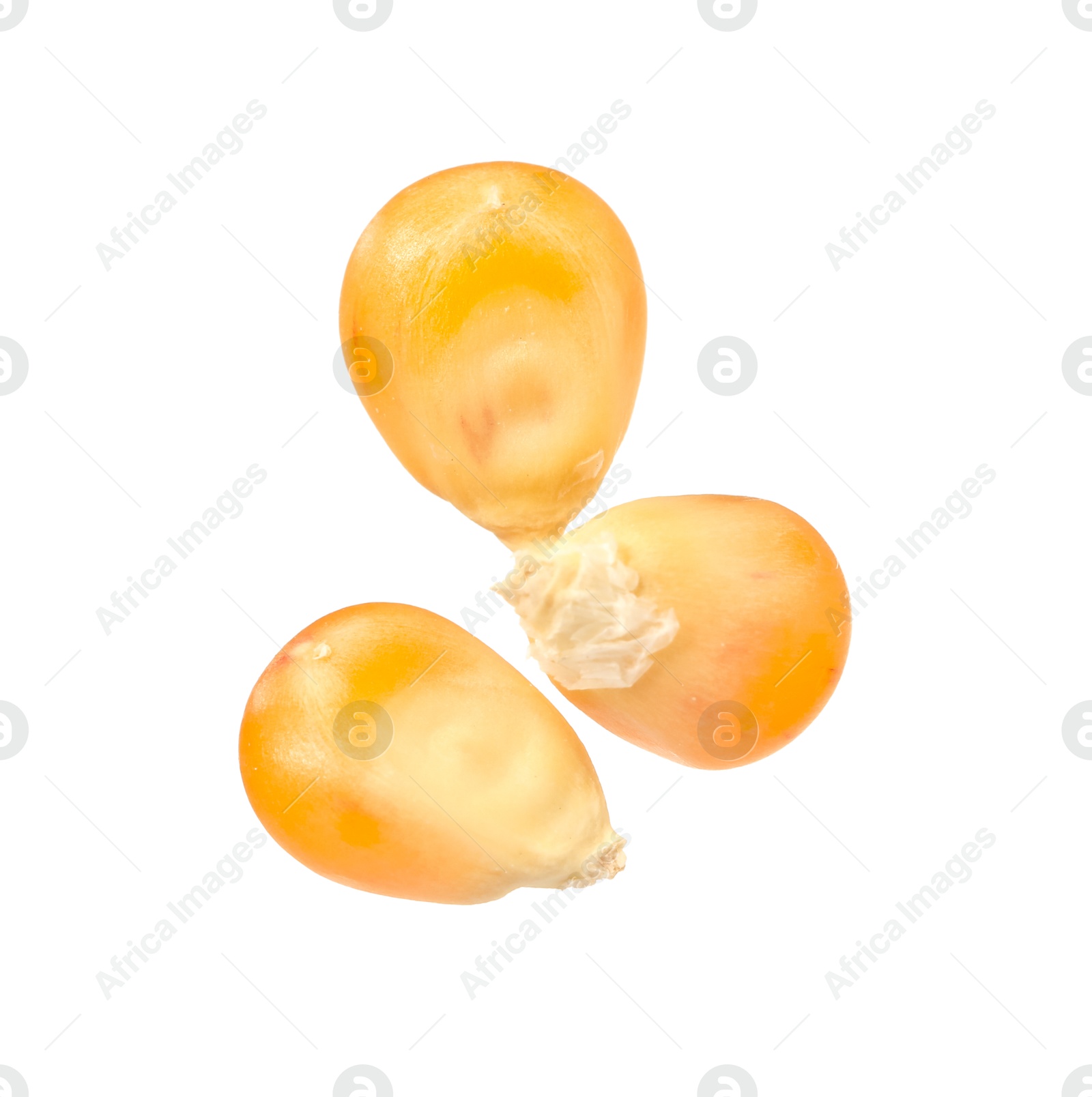 Photo of Fresh ripe corn kernels isolated on white