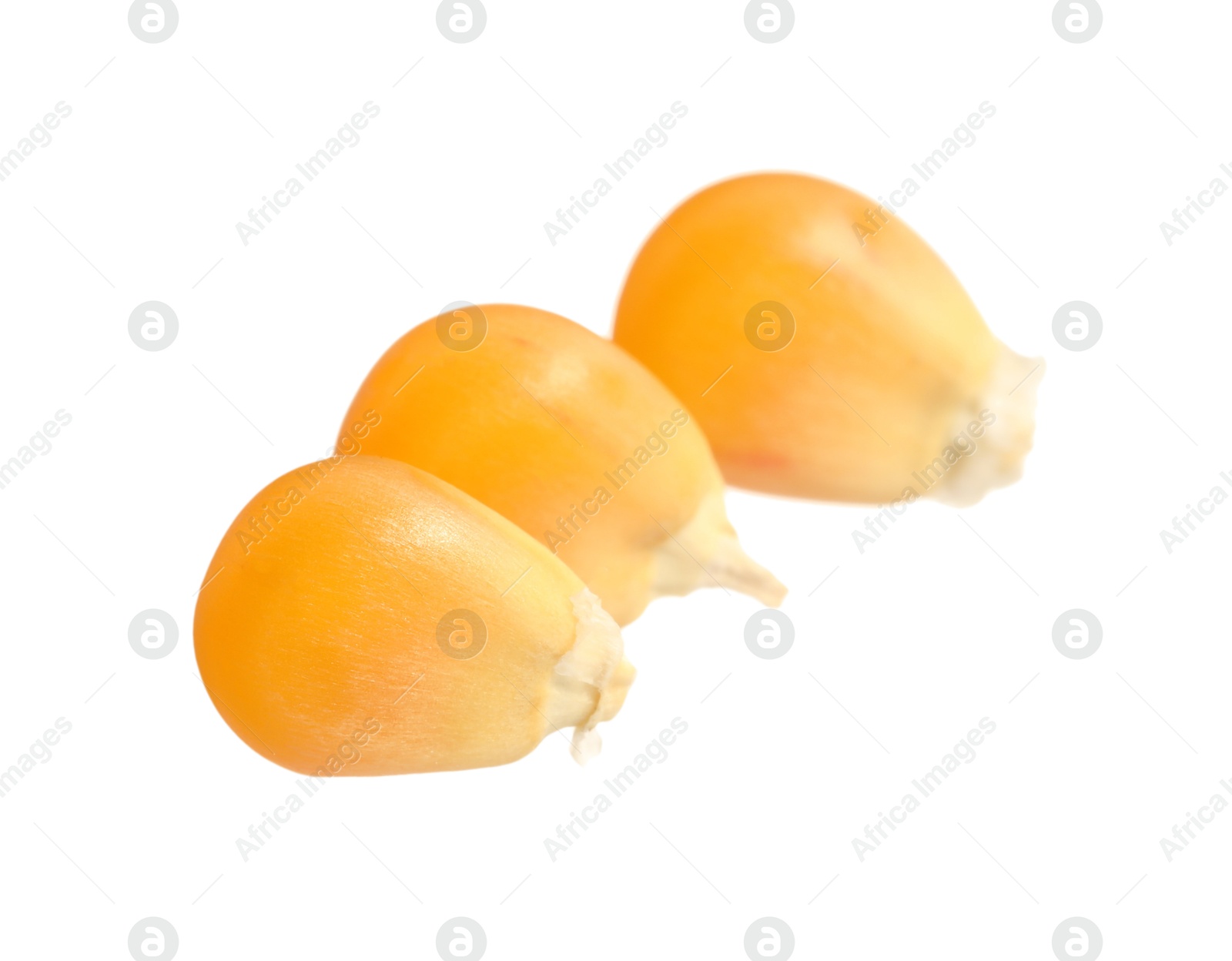 Photo of Fresh ripe corn kernels isolated on white