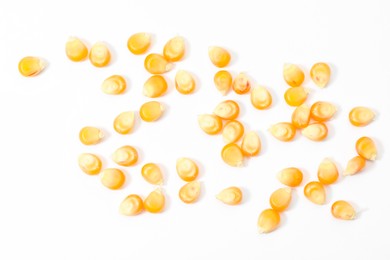 Photo of Many fresh corn kernels on white background, flat lay