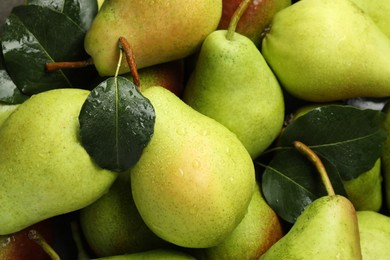 Many fresh ripe pears as background, top view