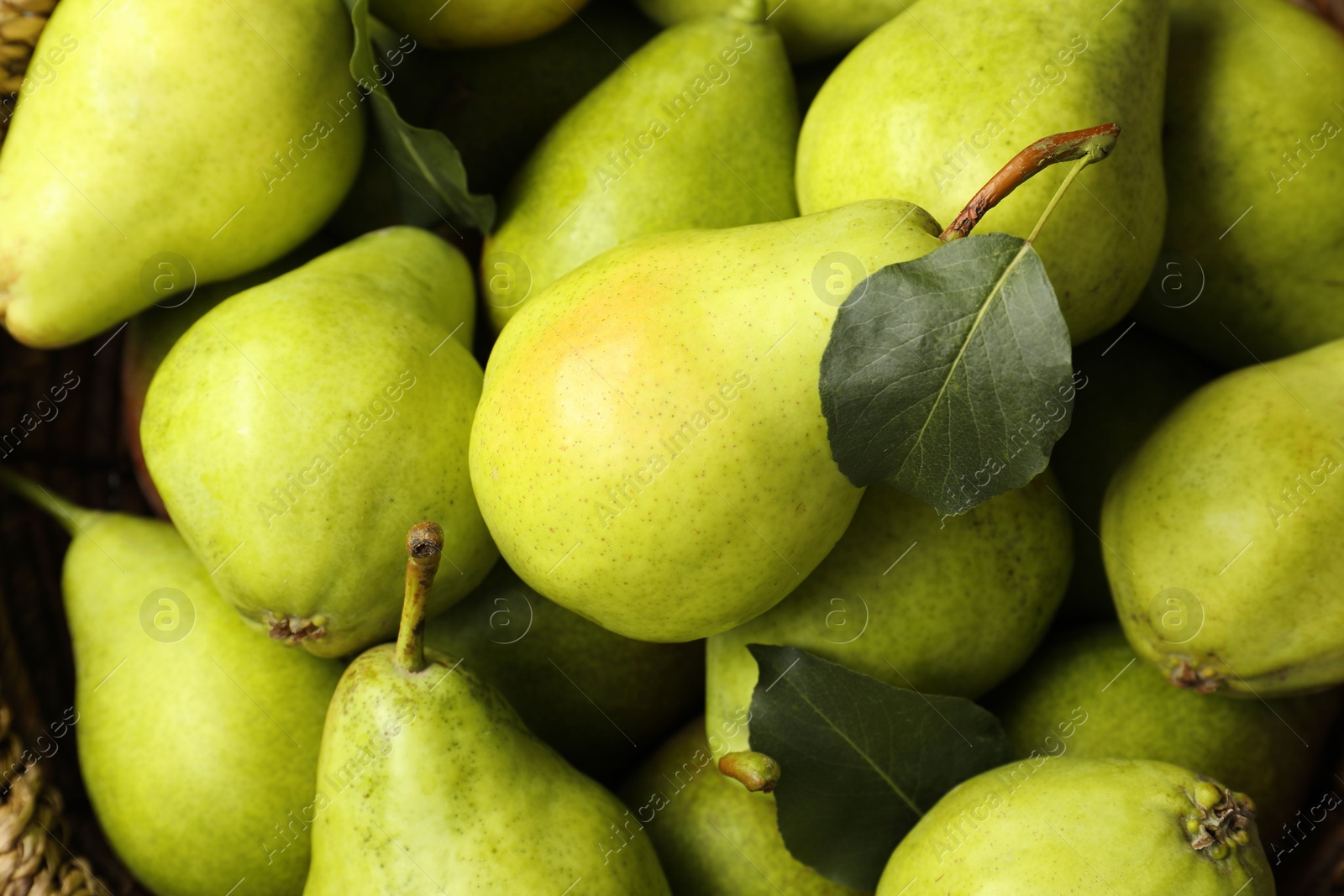 Photo of Many fresh ripe pears as background, top view