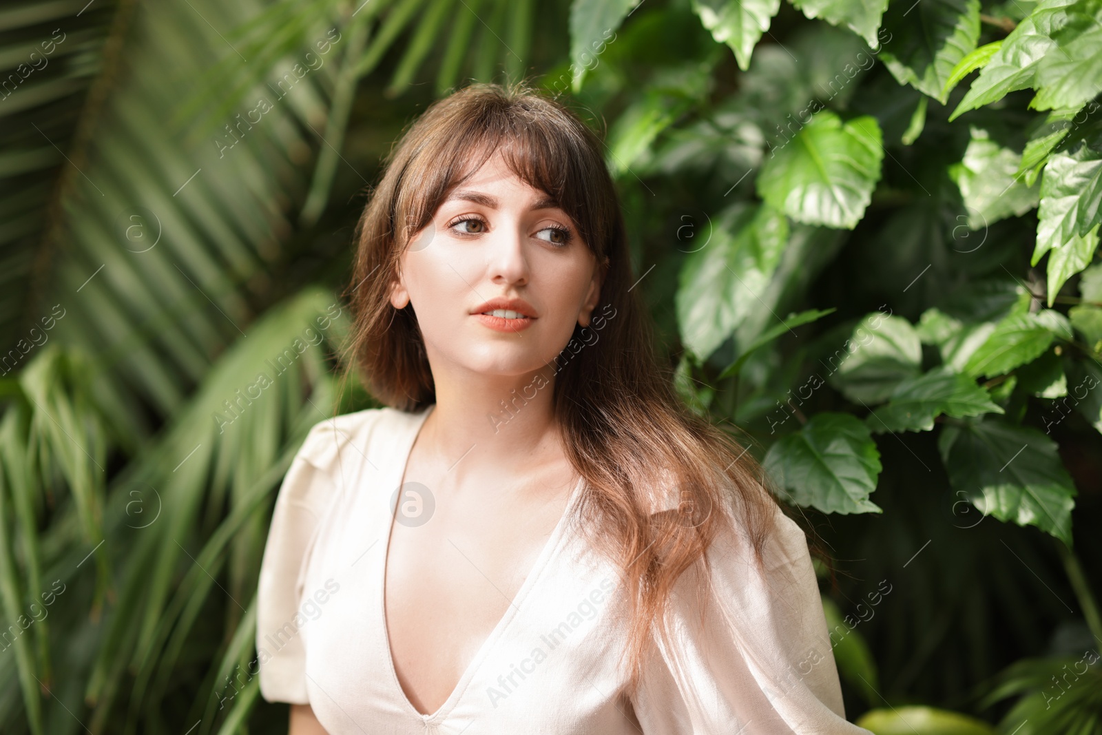 Photo of Portrait of beautiful woman in tropical forest