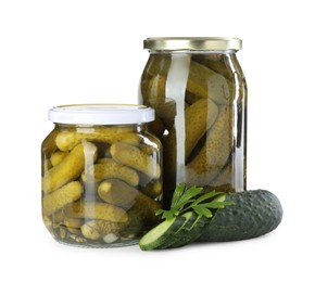 Photo of Tasty pickled cucumbers in jars, fresh vegetable and parsley isolated on white