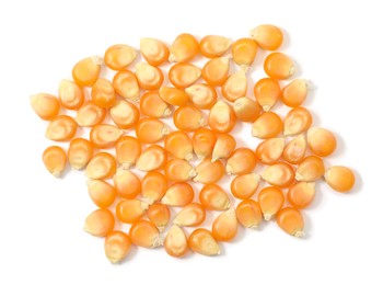 Photo of Pile of fresh corn kernels on white background, flat lay