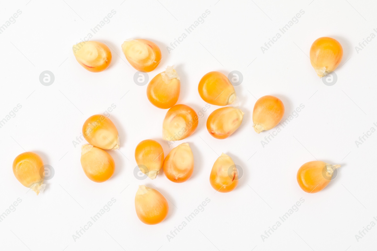 Photo of Many fresh corn kernels on white background, flat lay