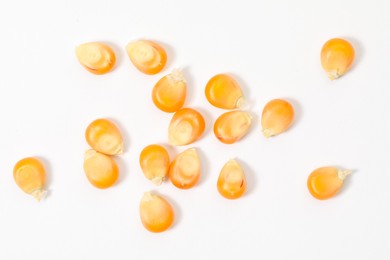 Many fresh corn kernels on white background, flat lay