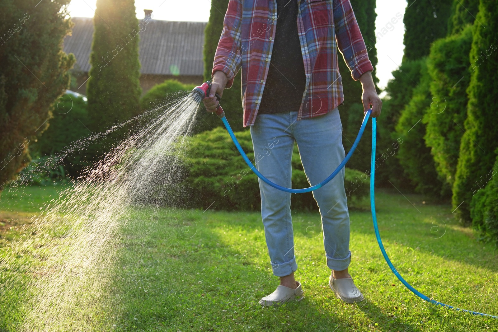 Photo of Man watering green grass on lawn in backyard, closeup