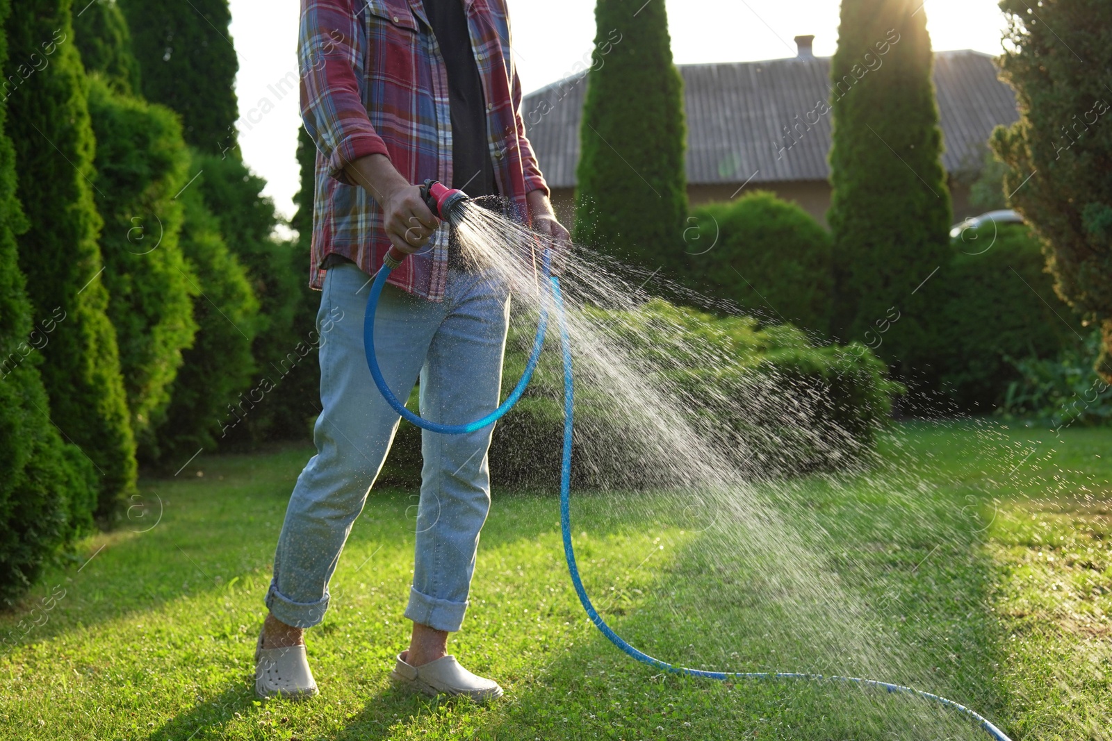 Photo of Man watering green grass on lawn in backyard, closeup