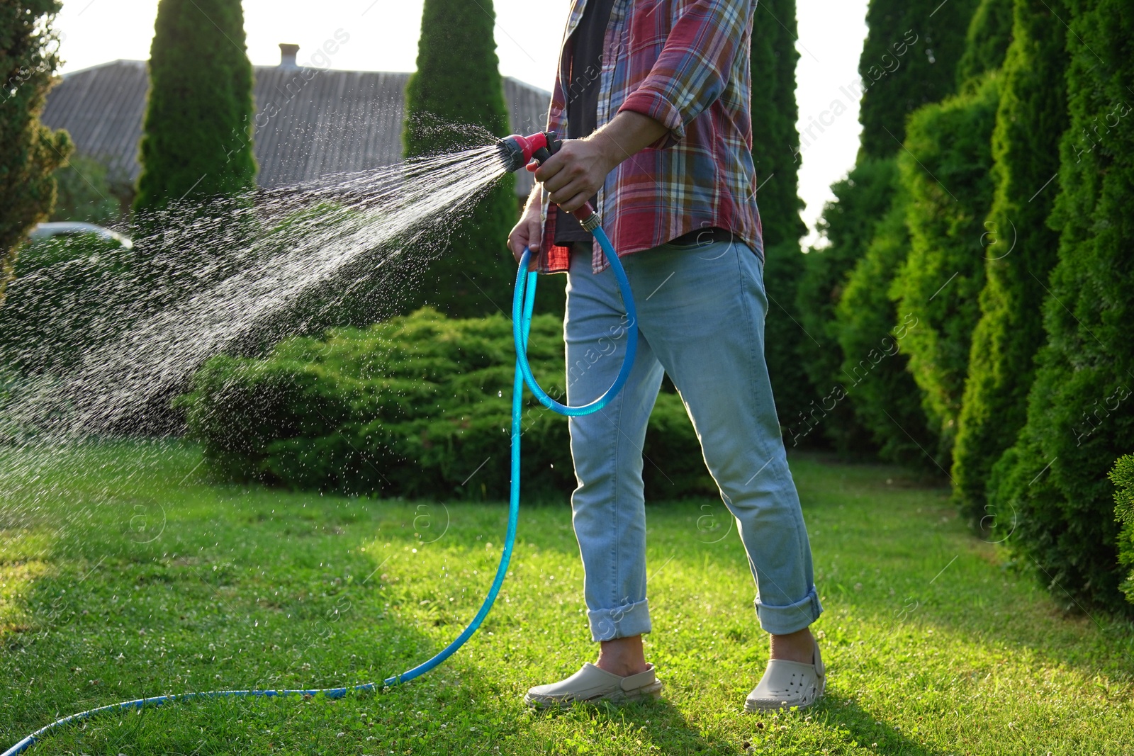 Photo of Man watering green grass on lawn in backyard, closeup