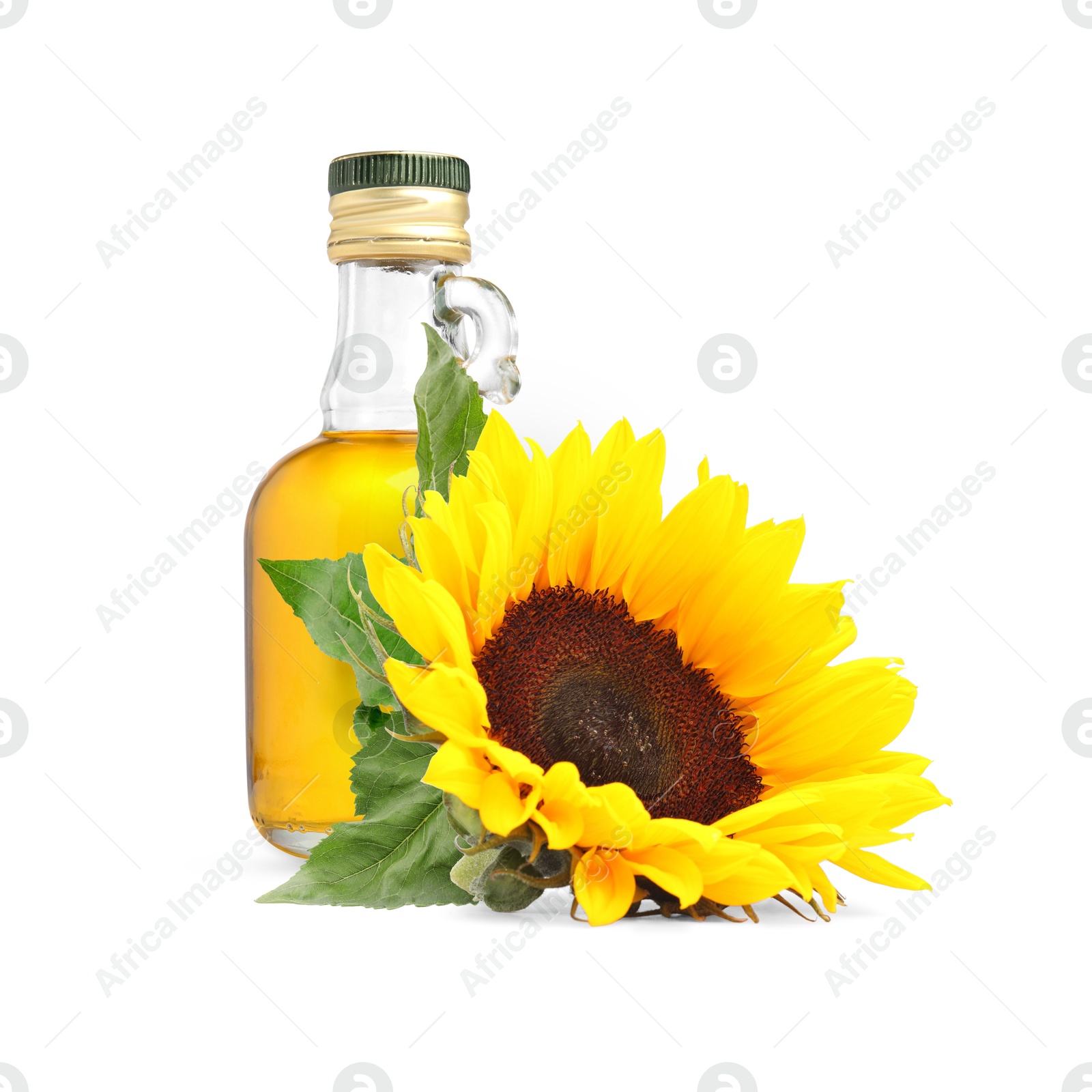 Image of Cooking oil in glass bottle and bright sunflower isolated on white