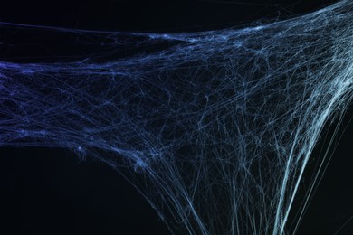 Image of Cobweb against black background, toned in gradient blue color