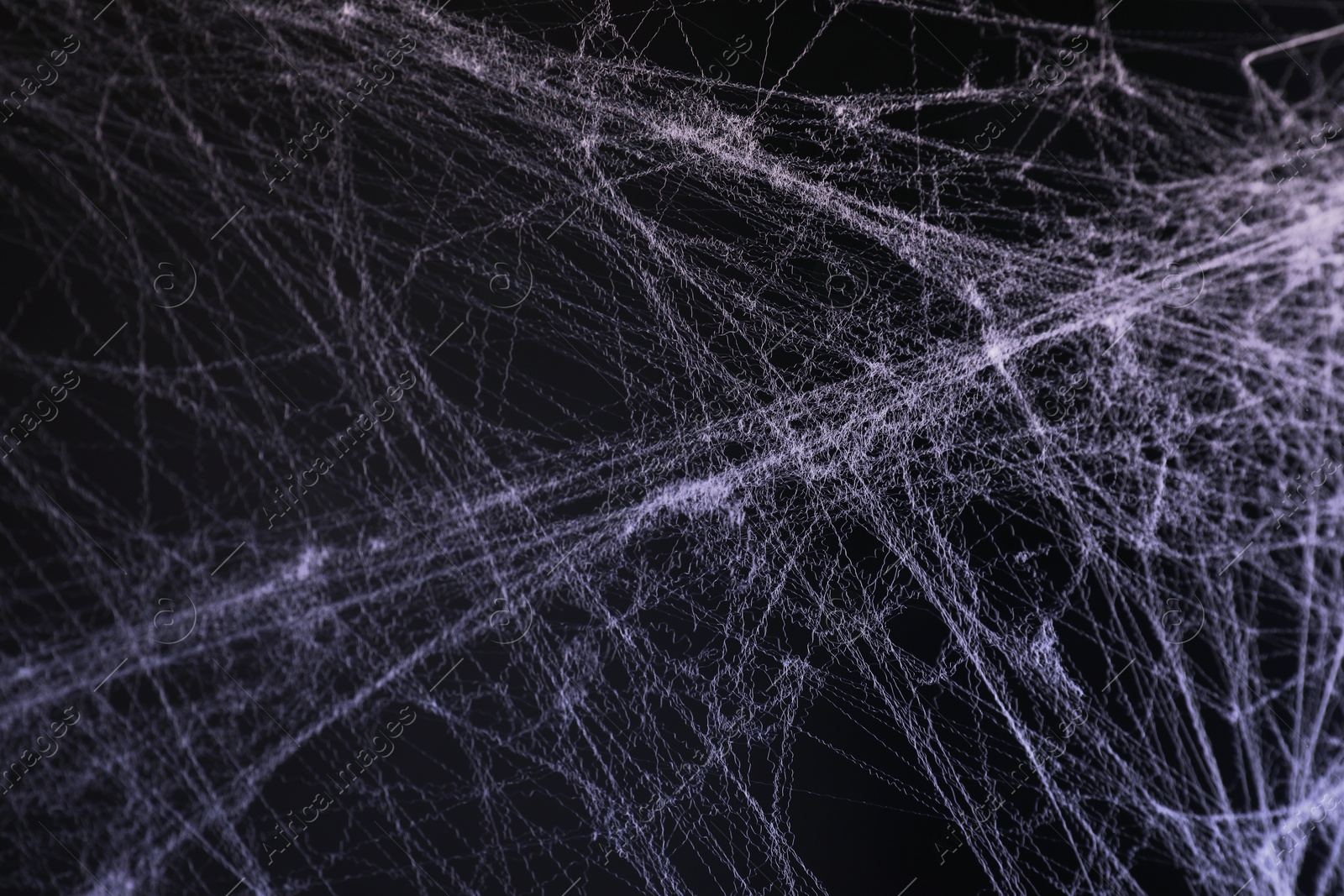 Image of Cobweb against black background, toned in gradient violet color