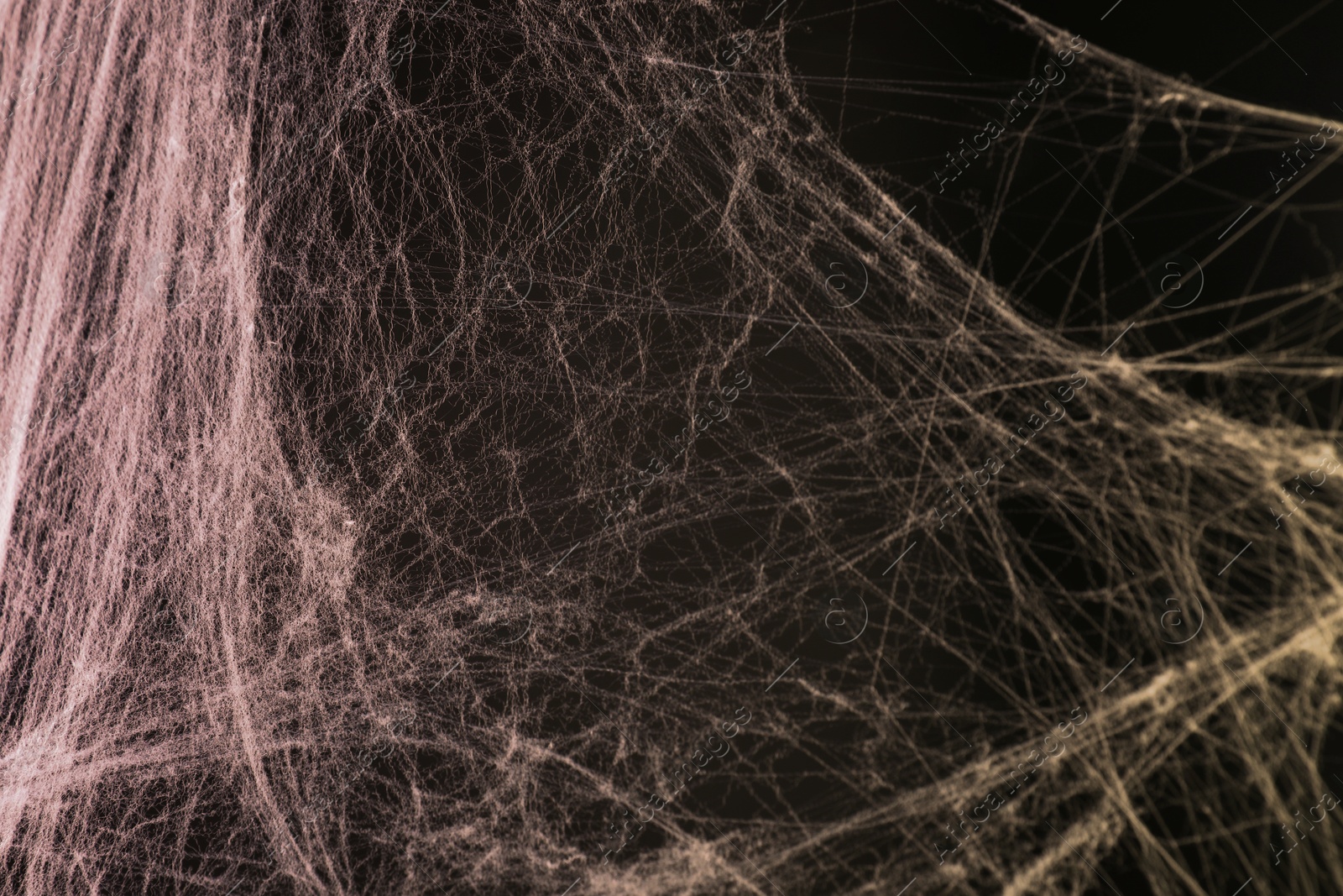 Image of Cobweb against black background, toned in red and orange colors