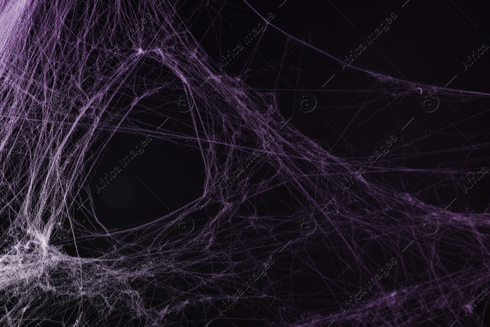 Image of Cobweb against black background, toned in gradient violet color