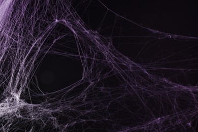 Image of Cobweb against black background, toned in gradient violet color