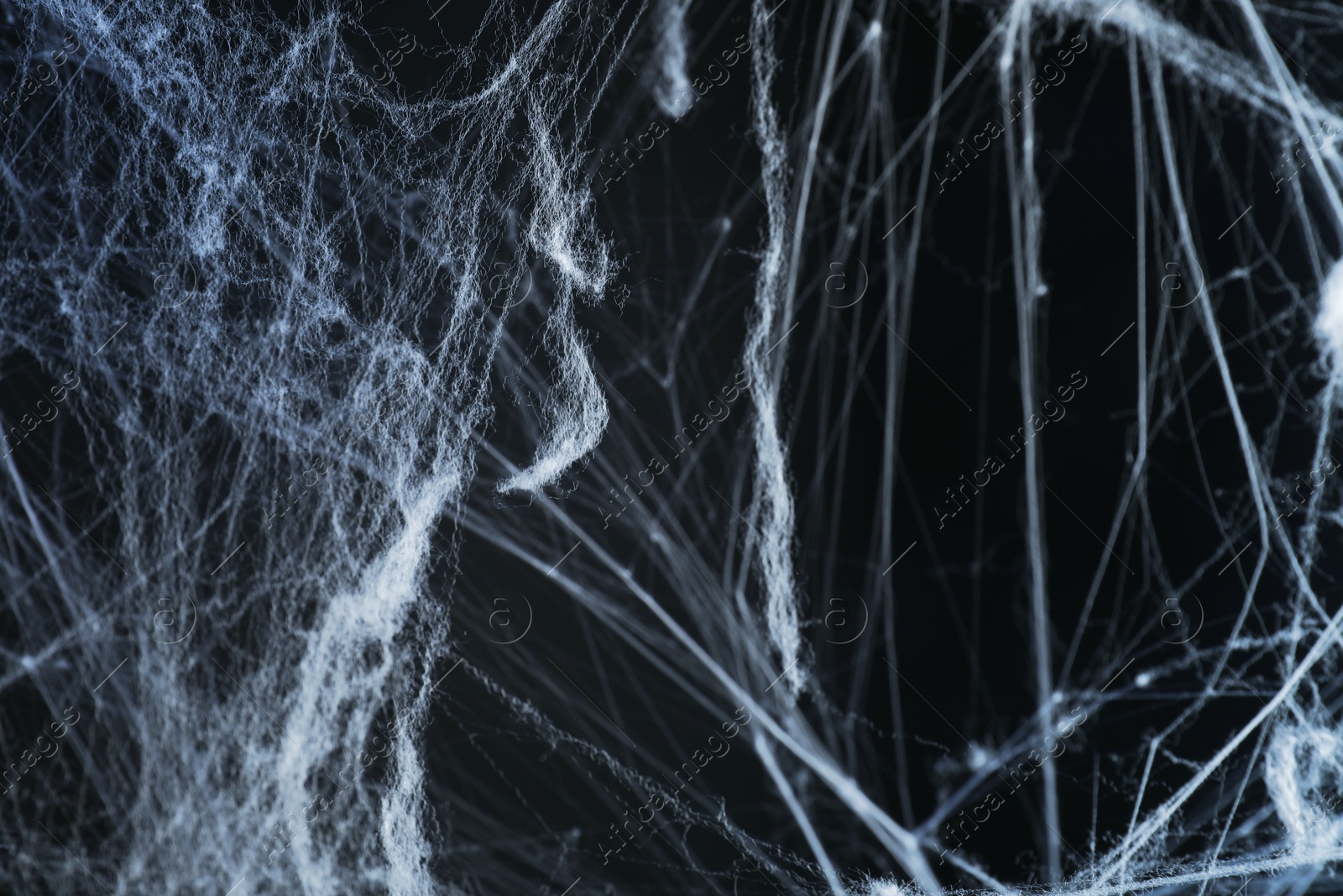 Image of Cobweb against black background, toned in gradient blue color