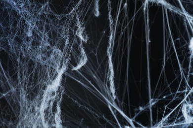 Image of Cobweb against black background, toned in gradient blue color