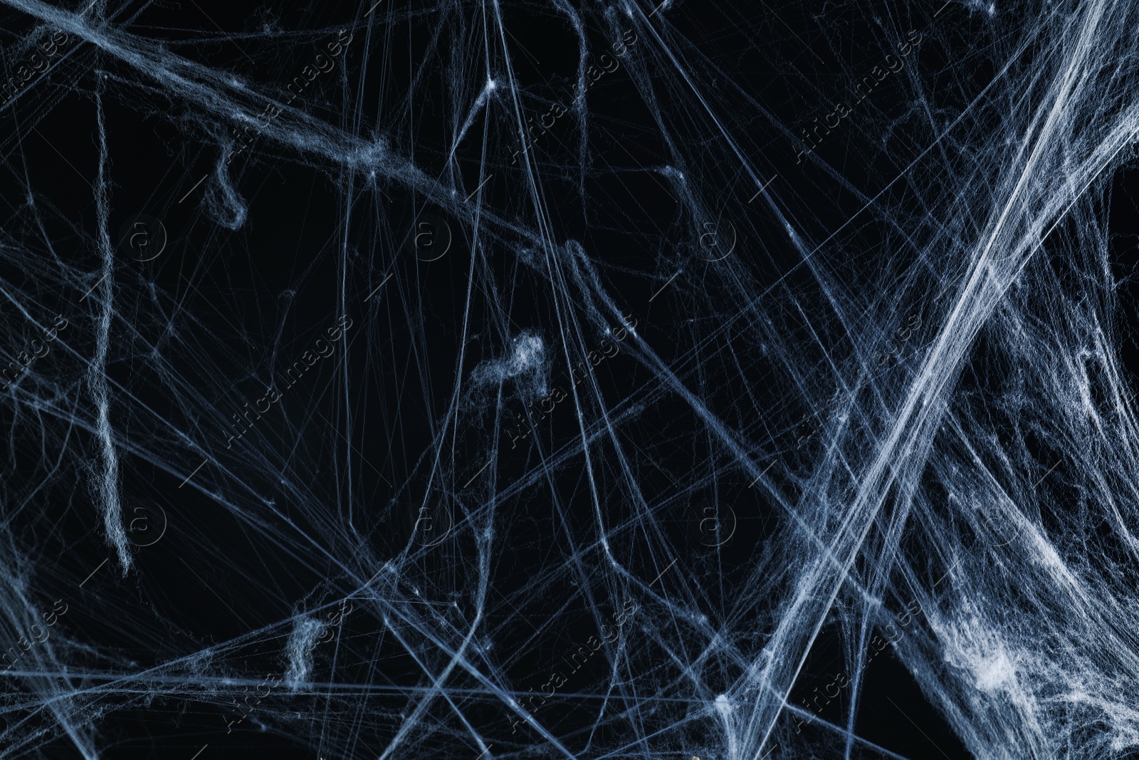 Image of Cobweb against black background, toned in gradient blue color