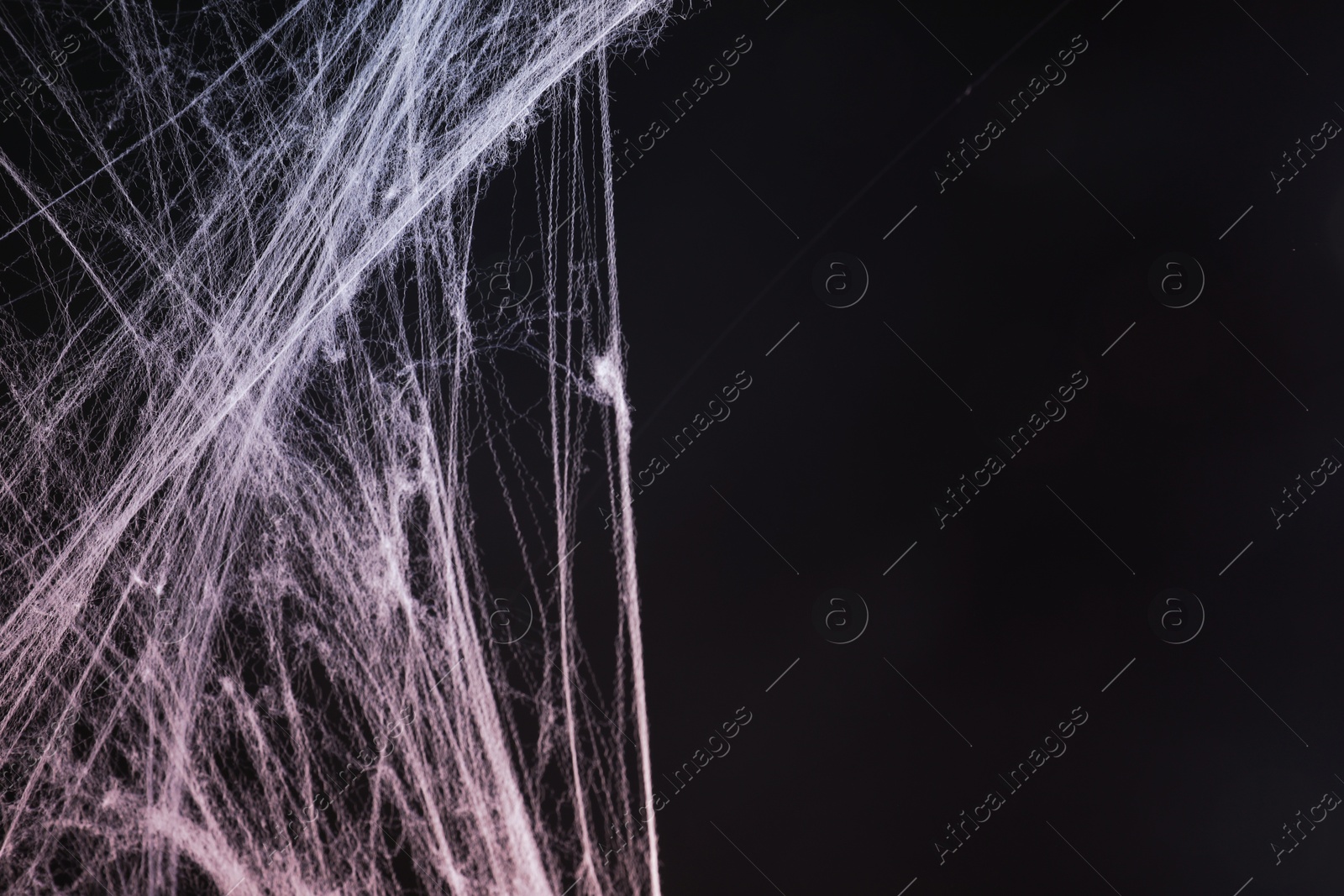 Image of Cobweb against black background, toned in gradient red color. Space for text