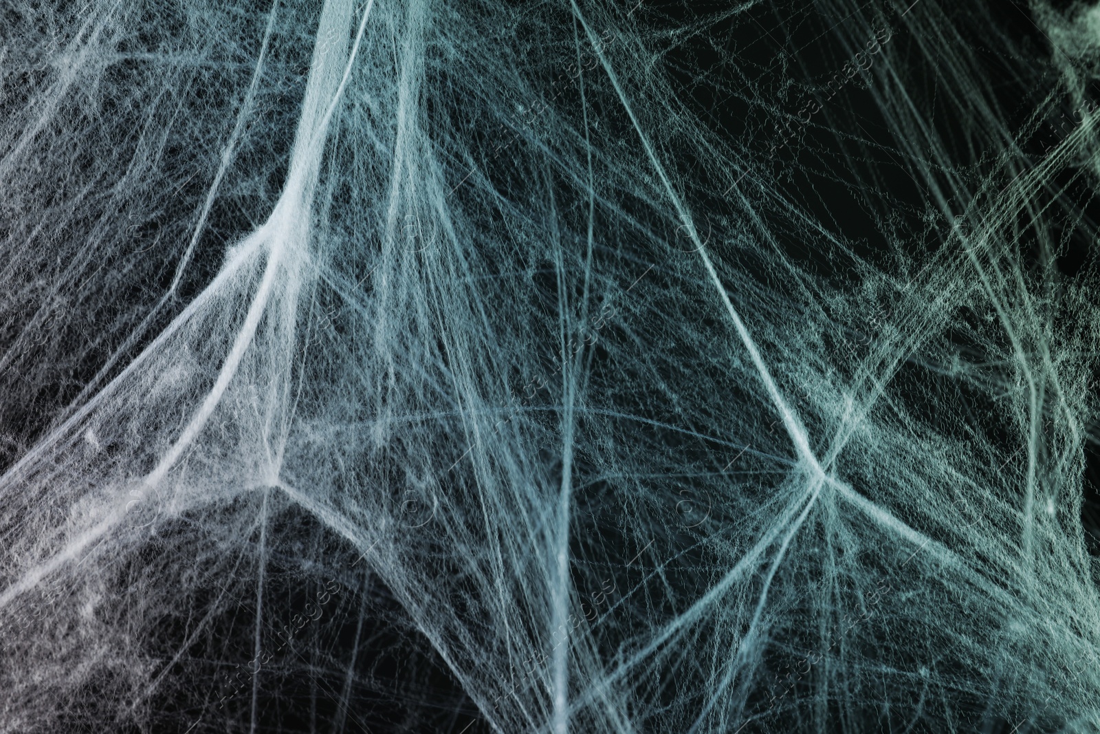 Image of Cobweb against black background, toned in gradient blue color