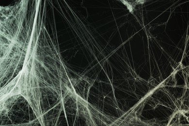 Cobweb against black background, toned in gradient green color