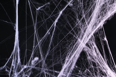 Image of Cobweb against black background, toned in gradient violet color