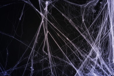 Image of Cobweb against black background, toned in gradient violet color