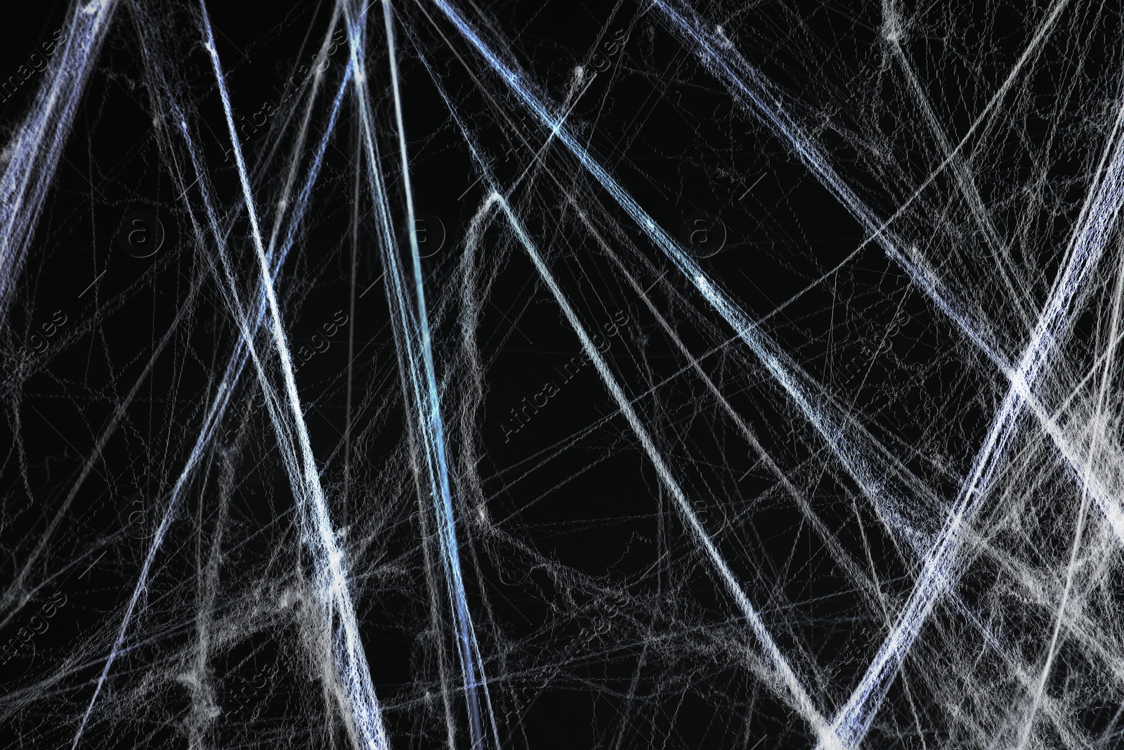 Image of Cobweb against black background, toned in gradient blue color