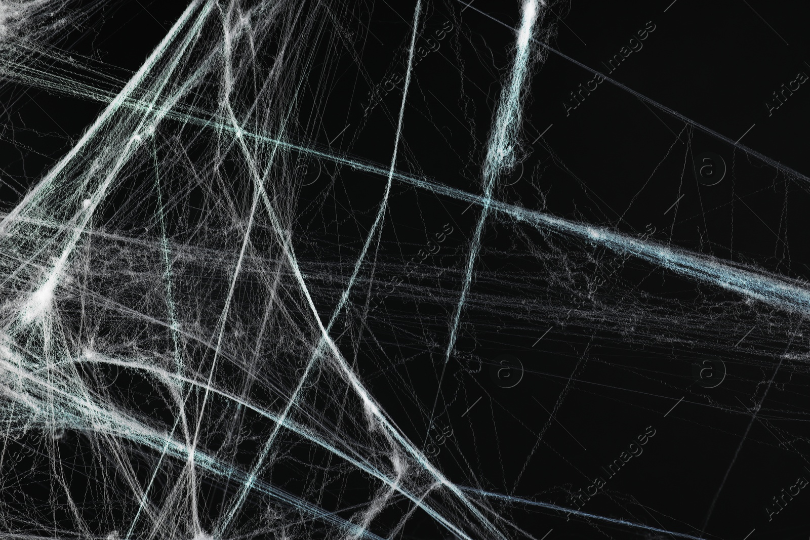 Image of Cobweb against black background, toned in gradient blue color