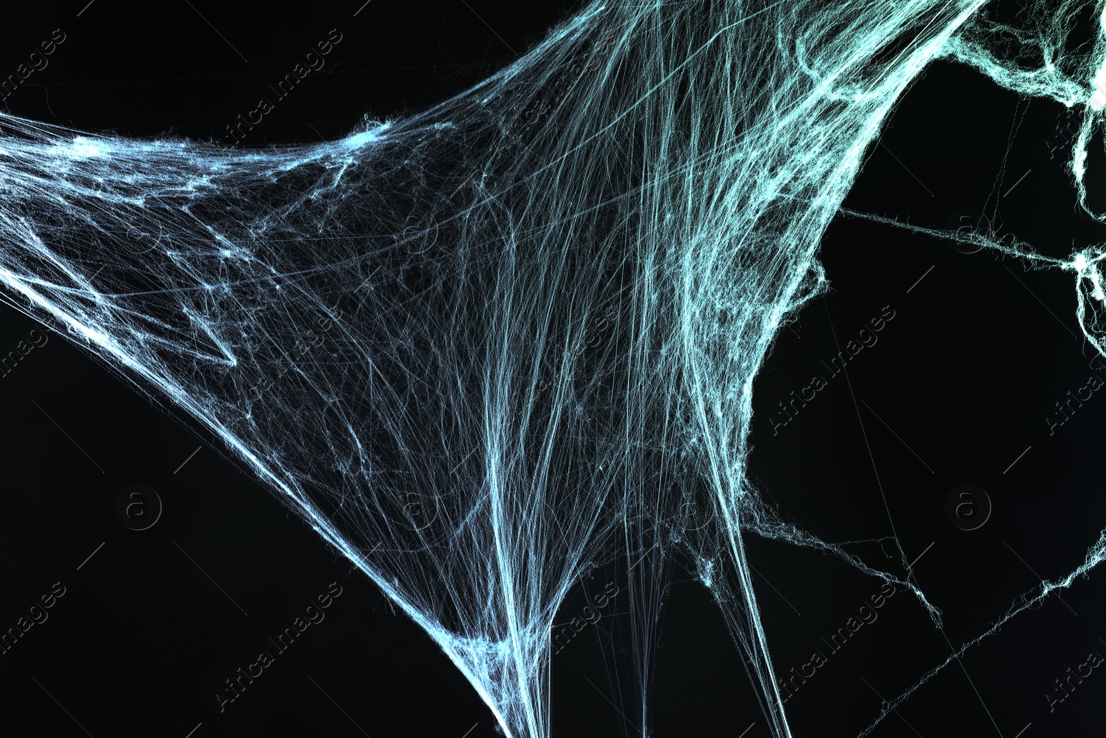 Image of Cobweb against black background, toned in gradient green color